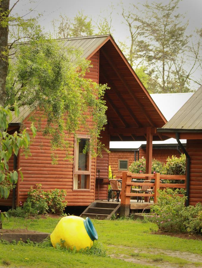 Cabanas Risso Villa Villarrica Exterior foto