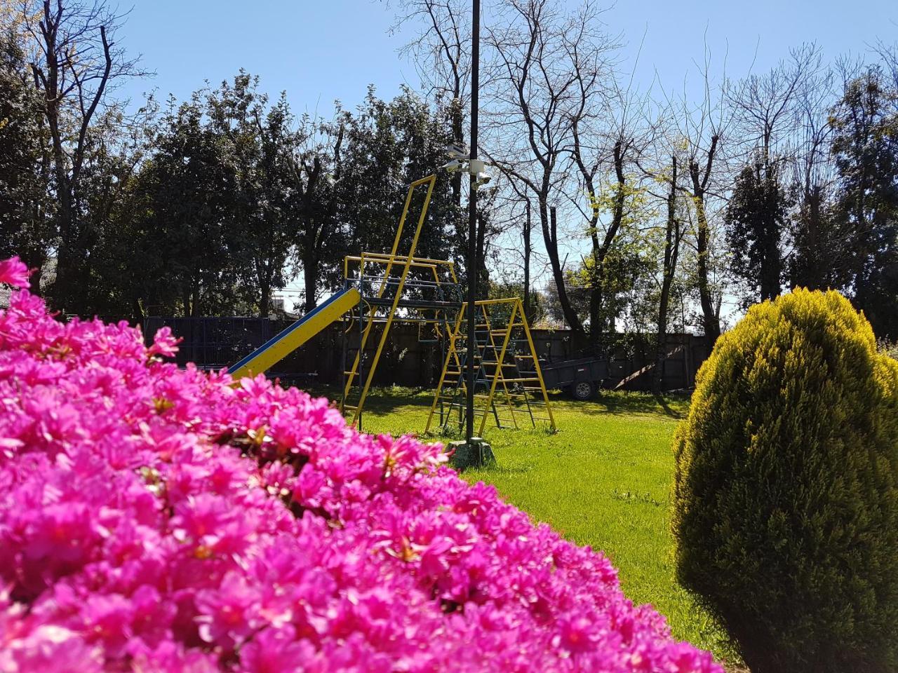 Cabanas Risso Villa Villarrica Exterior foto